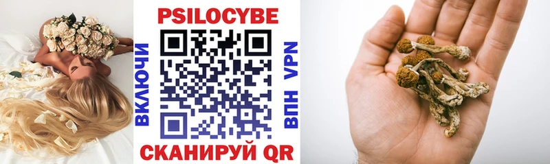 Галлюциногенные грибы прущие грибы  Гусь-Хрустальный 