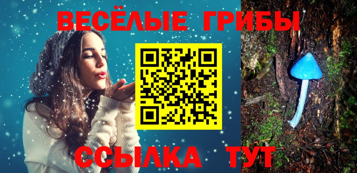 Гусь-Хрустальный  Галлюциногенные грибы Psilocybine cubensis  Вход с VPN 