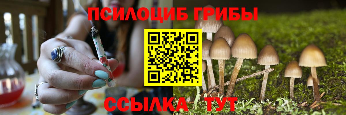 Псилоцибиновые грибы Psilocybine cubensis  Гусь-Хрустальный  Галлюциногенные грибы GOLDEN TEACHER 